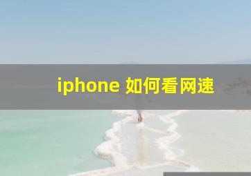 iphone 如何看网速